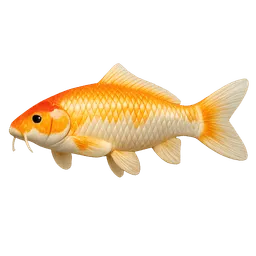 Transparent PNG of the GTA V item fish_golden_koi