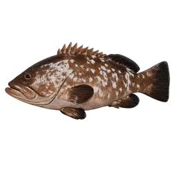 Transparent PNG of the GTA V item fish_mero