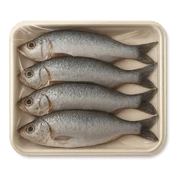 Transparent PNG of the GTA V item fish_package