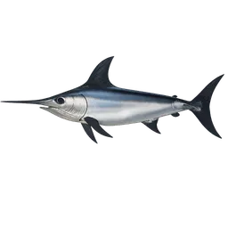 Transparent PNG of the GTA V item fish_pez_espada