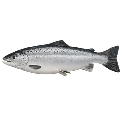 Transparent PNG of the GTA V item fish_salmon