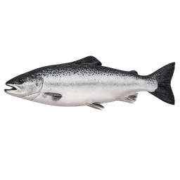 Transparent PNG of the GTA V item fish_salmon_2