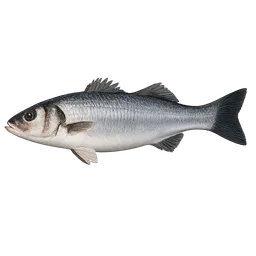 Transparent PNG of the GTA V item fish_seabass