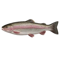 Transparent PNG of the GTA V item fish_trout_1