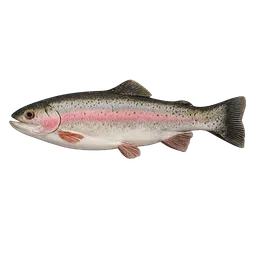 Transparent PNG of the GTA V item fish_trucha