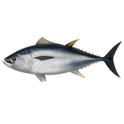 Transparent PNG of the GTA V item fish_tuna