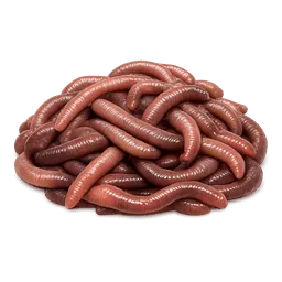 Transparent PNG of the GTA V item fishing_worms