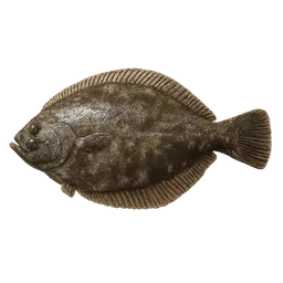 Transparent PNG of the GTA V item flounder