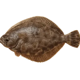 Transparent PNG of the GTA V item flounder_2