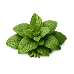 Transparent PNG of the GTA V item foglie_di_menta