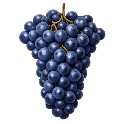 Transparent PNG of the GTA V item freshly_gathered_cabernet_sauvignon_grapes