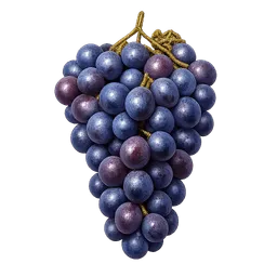 Transparent PNG of the GTA V item freshly_gathered_zinfandel_grapes