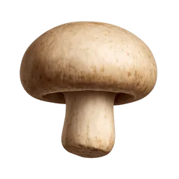 Transparent PNG of the GTA V item funghi_champignon