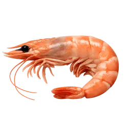 Transparent PNG of the GTA V item garnele_1