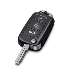Transparent PNG of the GTA V item generalautoschl_ssel