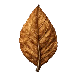Transparent PNG of the GTA V item getrocknetes_tabakblatt