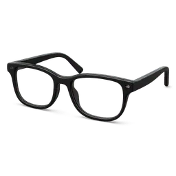 Transparent PNG of the GTA V item glasses_1