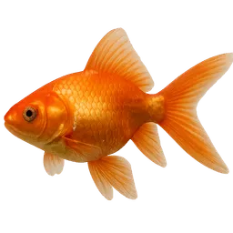 Transparent PNG of the GTA V item golden_fish_1