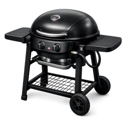 Transparent PNG of the GTA V item grill