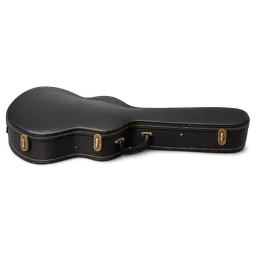 Transparent PNG of the GTA V item guitarcase