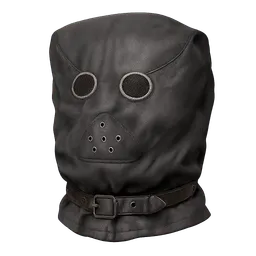 Transparent PNG of the GTA V item headbag_4