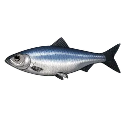 Transparent PNG of the GTA V item hering_fisch