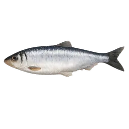 Transparent PNG of the GTA V item herring_1