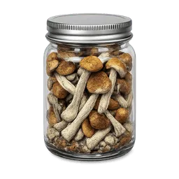 Transparent PNG of the GTA V item hq_jar_pote_de_alta_qualidade_pote_com_cogumelos_da_mais_pura_qualidade