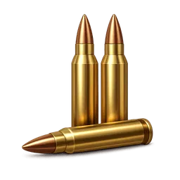 Transparent PNG of the GTA V item huelsen