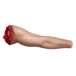 Transparent PNG of the GTA V item human_arm