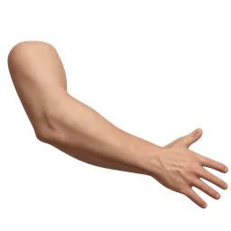 Transparent PNG of the GTA V item human_arm_1