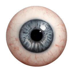 Transparent PNG of the GTA V item human_eye