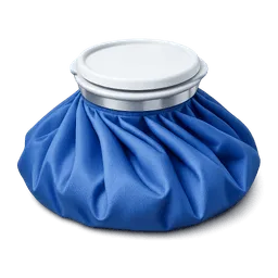 Transparent PNG of the GTA V item ice_pack_1