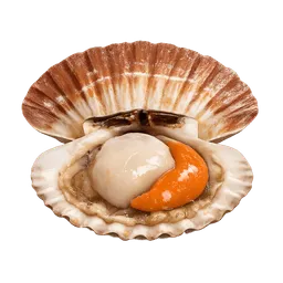 Transparent PNG of the GTA V item jakobsmuscheln