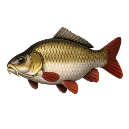 Transparent PNG of the GTA V item karpfen