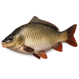Transparent PNG of the GTA V item karpfen_1