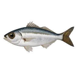 Transparent PNG of the GTA V item kleiner_fisch_aus_dem_meer