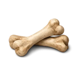Transparent PNG of the GTA V item kleinknochen