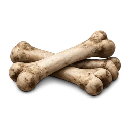 Transparent PNG of the GTA V item knochen