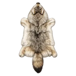 Transparent PNG of the GTA V item kojotenfell