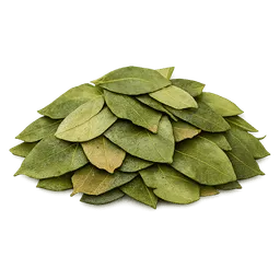 Transparent PNG of the GTA V item kokablaetter