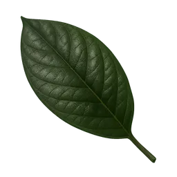 Transparent PNG of the GTA V item kokablatt