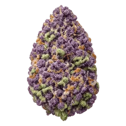 Transparent PNG of the GTA V item kq_weed_bud_purple_haze_with_purple_pingments