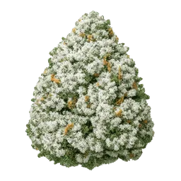 Transparent PNG of the GTA V item kq_weed_bud_white_widow_with_white_pingments