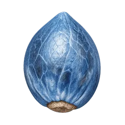Transparent PNG of the GTA V item kq_weed_seed_blue_dream_with_blue_shading