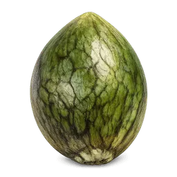 Transparent PNG of the GTA V item kq_weed_seed_og_kush_with_green_shading