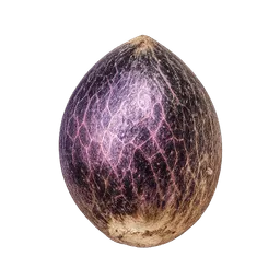 Transparent PNG of the GTA V item kq_weed_seed_purple_haze