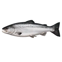 Transparent PNG of the GTA V item lachs_als_fisch