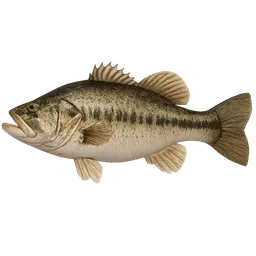 Transparent PNG of the GTA V item largemouth_bass