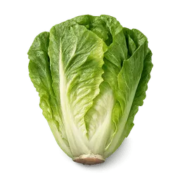 Transparent PNG of the GTA V item lattuga